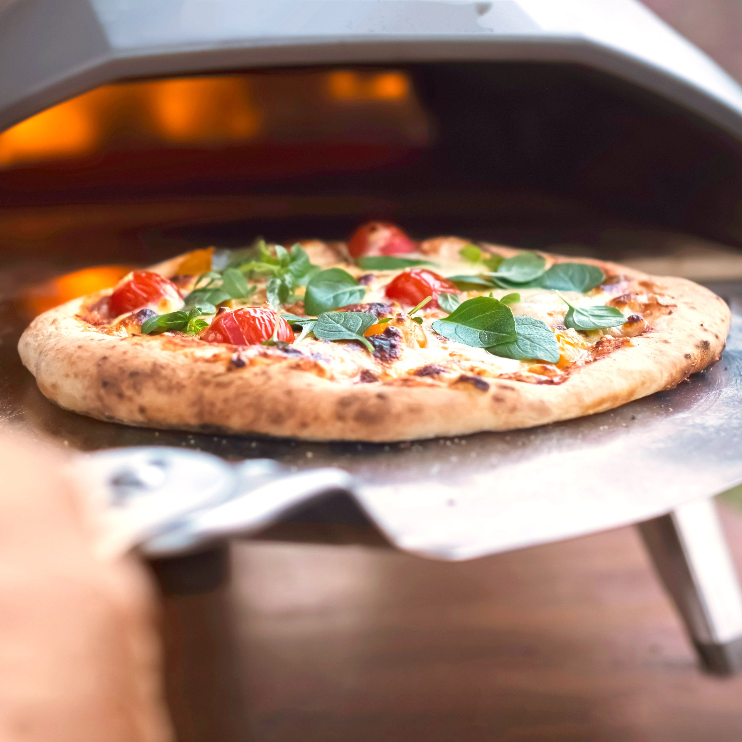 FORNO A PELLET Per Pizza Con Accessori Cucina Pizza Per Giardino EUR 266,90  - PicClick IT