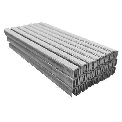 Clips für Wurstclipper - Länge: 13 mm