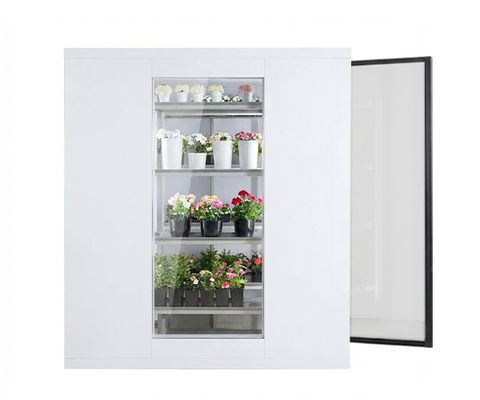 Skleněné chladicí boxy Premium