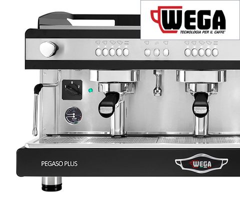 Portafilter machines - Pegaso Plus