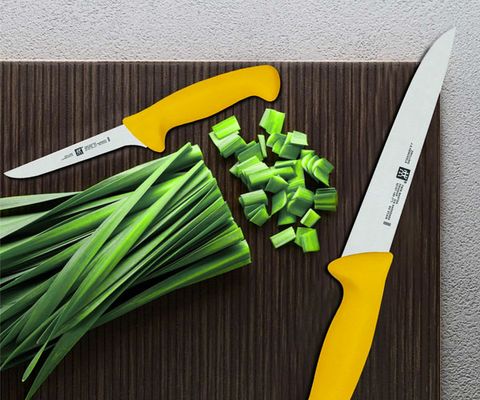 ZWILLING | Twin Master