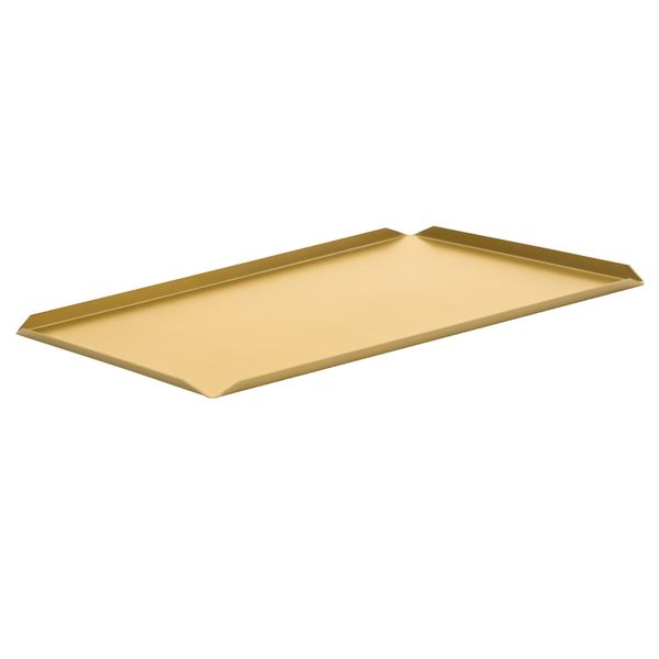 (5 Stück) Konditorei- & Präsentationsplatte - Aluminium - 700x100x10mm - Champagner
