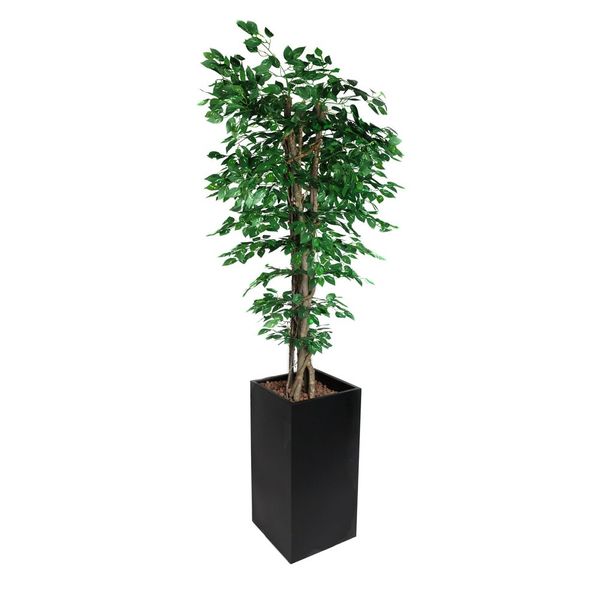 Kunstpflanze "Ficus" - 210cm - mit Topf